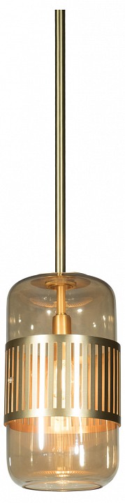 Светильник на штанге Loft it Hudson 10097P