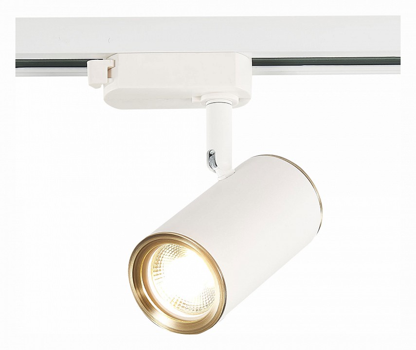 Светильник на штанге ST-Luce Cromi ST301.536.01