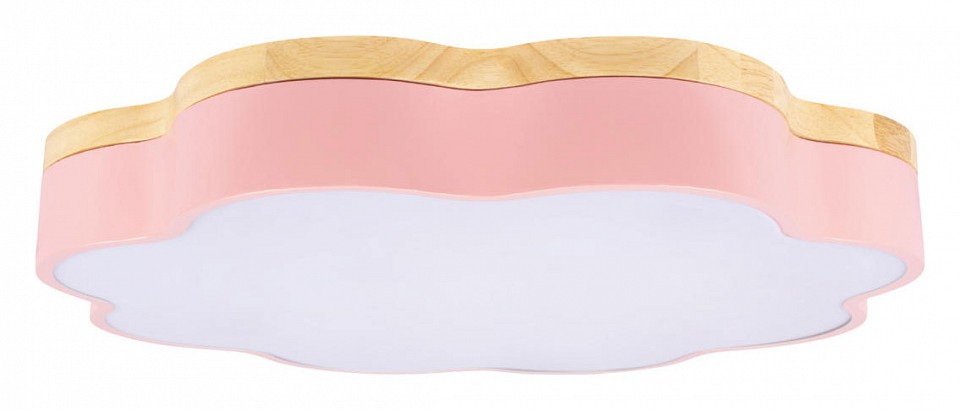 Накладной светильник Loft it Axel 10225/36 Pink