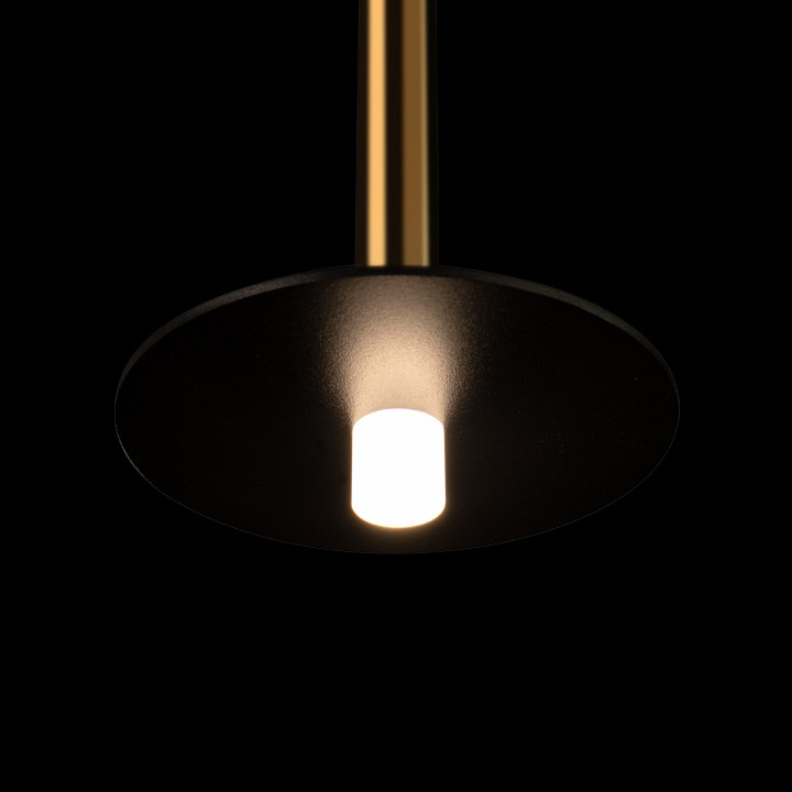 Подвесной светильник Loft it Reed 10358/830 Disk AB