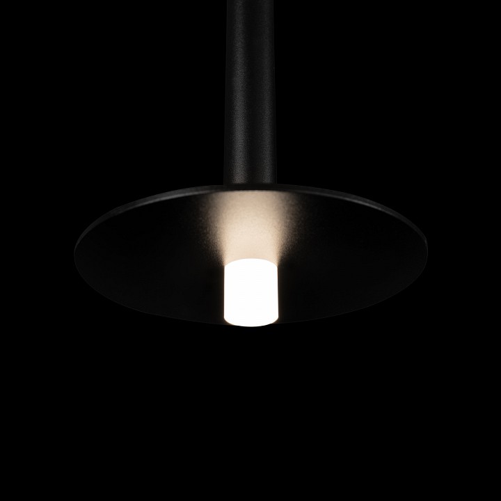 Подвесной светильник Loft it Reed 10358/830 Disk