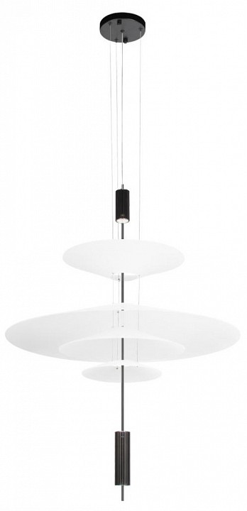 Подвесной светильник Loft it Skylar 10244/C Black