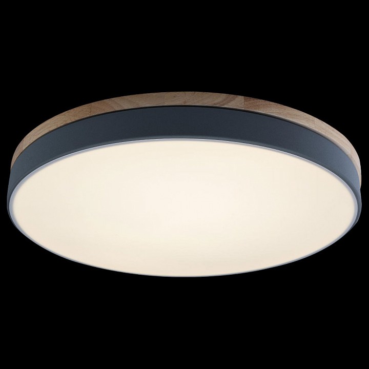 Накладной светильник Loft it Axel 10001/36 Grey