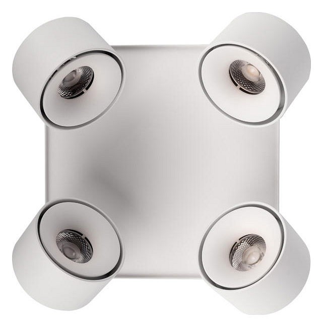 Спот Loft it Case 10326 White