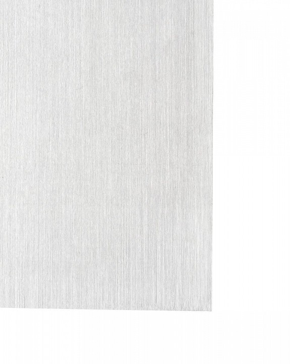 Накладной светильник Vele Luce Сarica VL8273W21