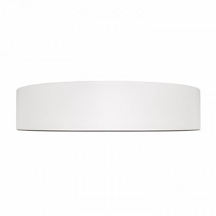 Накладной светильник Loft it Coin 10202 WB